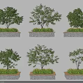 Multiple Rectangular Stone-edged Tree Planters With Green Trees And Lush Surrounding Shrubs 3d model