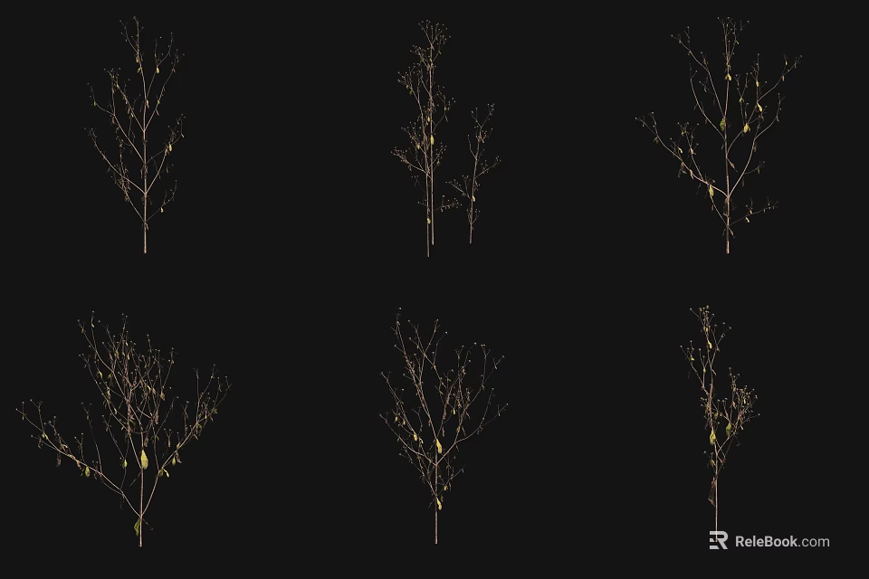Flowering Plants With Bare Branches And Yellow Buds On Black Background 3d model