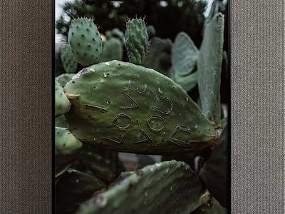 Hand Drawn Cactus Plant Painting With Engraved LOVE Lettering Artwork 3d model