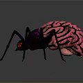 Vibrant Spider Featuring Pink Green Brain Like Body Pattern and Black Colorful Sheen Legs