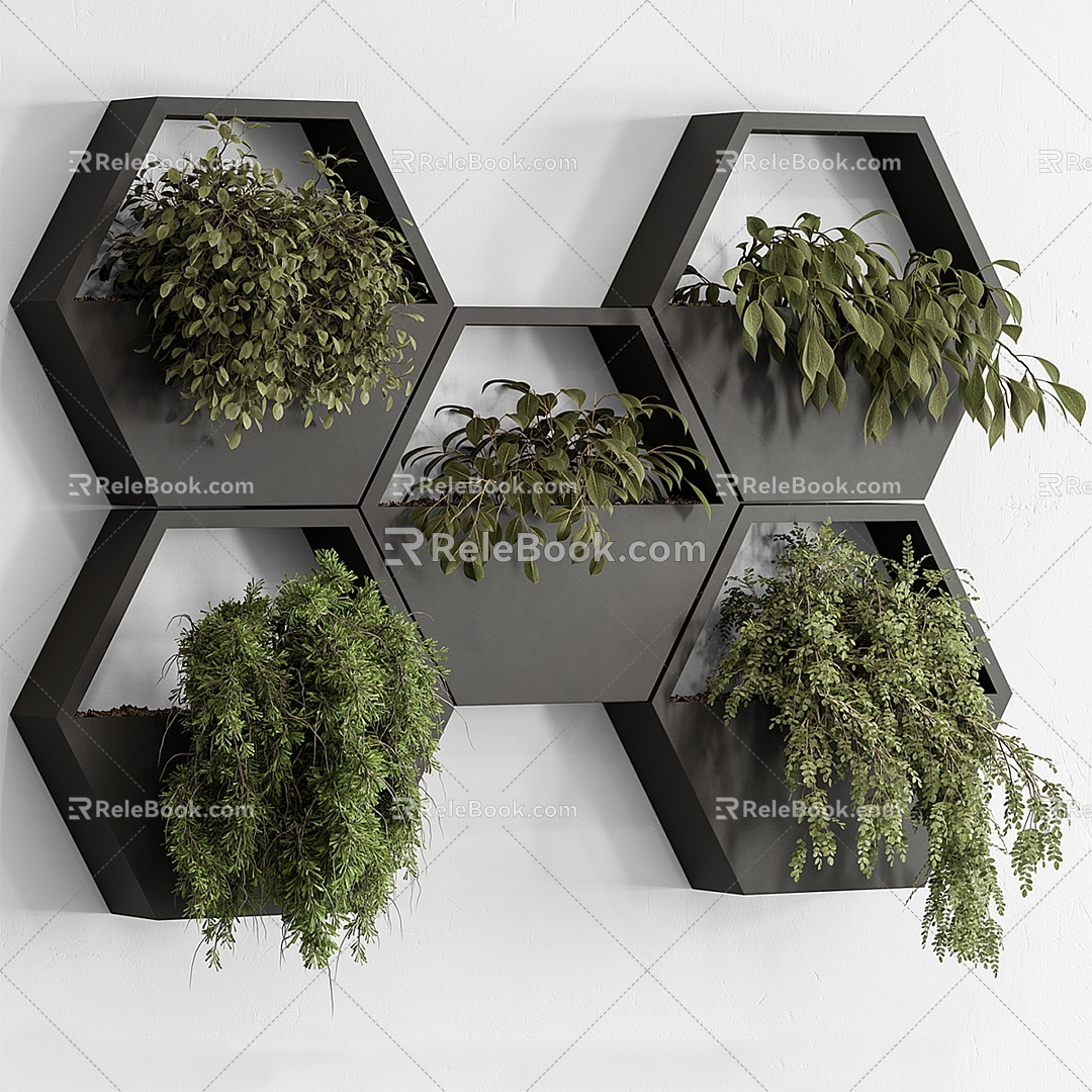 Indoor Plants Hanging Plants 3d model