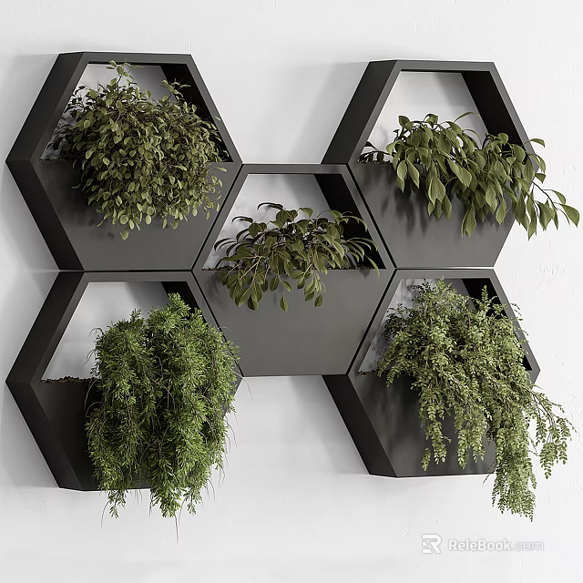 Stylish Black Hexagonal Wall Mounted Planters With Lush Green Hanging Plants 3d model 