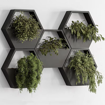 Stylish Black Hexagonal Wall Mounted Planters With Lush Green Hanging Plants 3d model