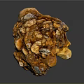 Natural Wood Stone With Orange Yellow Color And Irregular Raised Textures