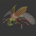 Modern Beetle Pig Beetle Insect Beetle 3d model