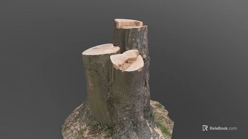 Natural Wood Tree Stumps With Cut Surfaces And Soil Base Details 3d model