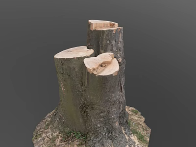 Natural Wood Tree Stumps With Cut Surfaces And Soil Base Details 3d model