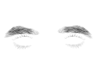 Sketched Eyebrows and Eyes with Detailed Eyelashes and Natural Hair Texture 3d model