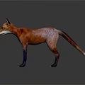 Realistic Red Fox 3D Render With Orange White Fur And Blue Legs Standing Pose