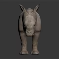 Baby Gray Rhinoceros Model Standing On Dark Background With Reflection 3d model