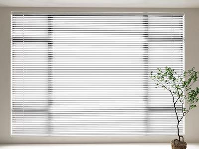 White Window Blinds Closed On Large Window With Indoor Plant In Modern Interior 3d model