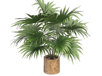 Green Potted Bonsai Plant With Lush Wide Leaves In Brown Textured Pot 3d model