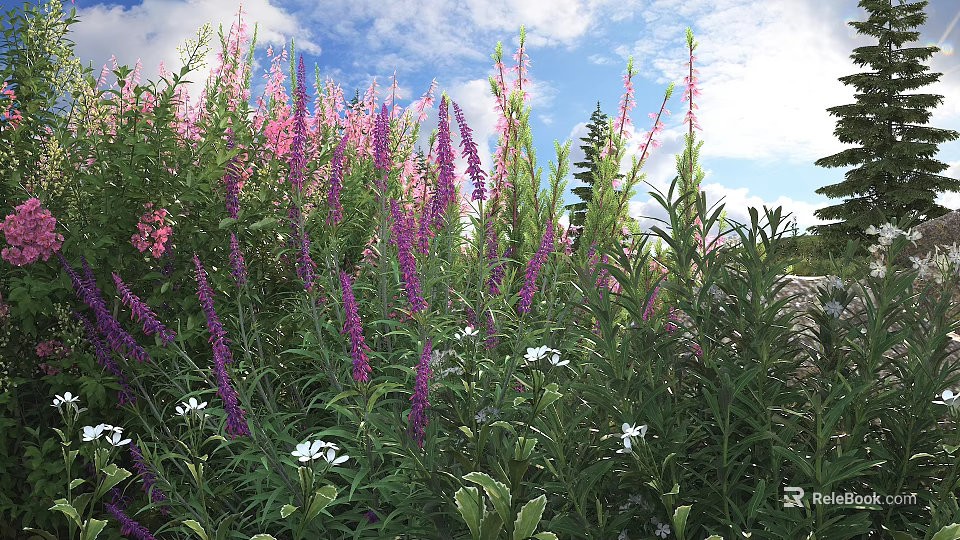 Vibrant Flowering Shrubs with Purple Pink Blooms and White Flowers Under Blue Sky 3d model 