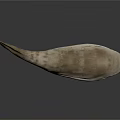 Unique Fish 3D Model With Streamlined Body Light Brown And Blue Colors
