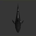 3D Shark Model Featuring Gray Body Open Mouth Sharp Teeth And Reflection On Dark Background 3d model