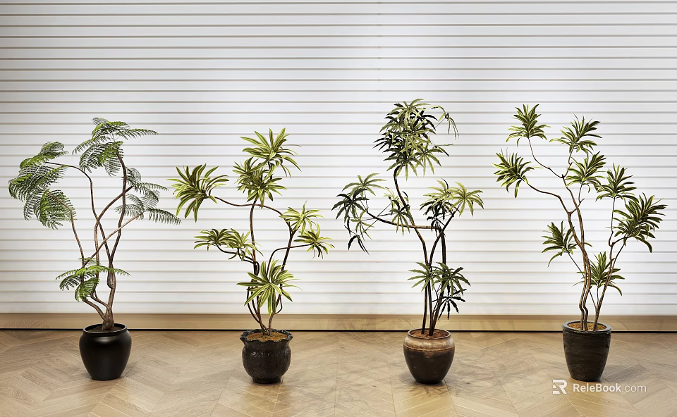Bonsai Plants Arrangement In Black Brown Pots Against White Striped Wooden Floor 3d model 