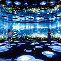 Tech Exhibition Hall With Immersive Interactive Digital Light Projection And Lotus Pond Experience