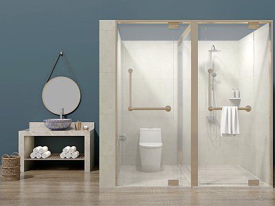 Modern shower room bathroom combination model