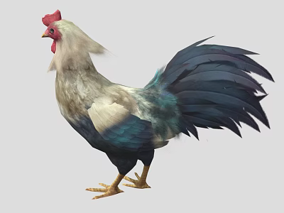 modern cock cartoon chicken 3d model