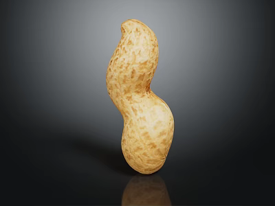 Whole Natural Peanut Pod with Rough Surface Texture Isolated on Dark Background and Clear Reflection 3d model