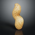 Whole Natural Peanut Pod with Rough Surface Texture Isolated on Dark Background and Clear Reflection