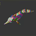 Detailed Marine Animal Skeleton With Long Snout Streamlined Structure On Gray Background
