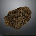 Natural Intricate Honeycomb Structure Built by Honey Bees Close Up