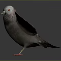 Detailed Flying Pigeon With Spread Wings Red Feet Purple Neck And Gray Feathers