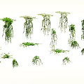 Lush Green Hanging Vines with Cascading Leaves for Home Decoration
