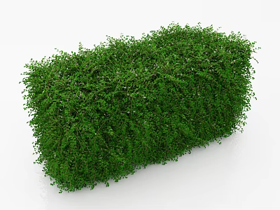 Lush Green Dense Shrub Well Trimmed for Outdoor Garden Landscaping Design 3d model