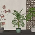 Elegant Bonsai Potted Plants With Red Green Leaves In Gray Light Green White Pots