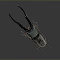 3D Rendered Horned Beetle with Large Curved Horns and Metallic Shell on Dark Background