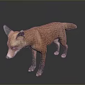 Realistic Red Fox 3D Render with Orange Fur Black Legs and Ears
