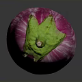 Vibrant Fresh Purple And White Striped Eggplant Isolated On Dark Background