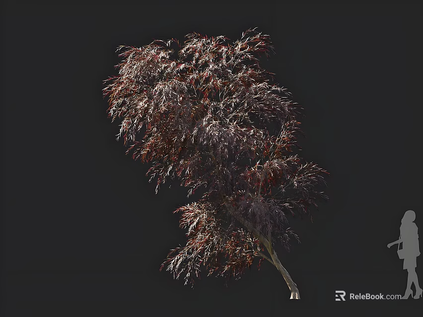 Elegant Ornamental Tree With Lush Red Purple Foliage And Human Figure For Scale 3d model 