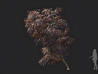 Elegant Ornamental Tree With Lush Red Purple Foliage And Human Figure For Scale 3d model