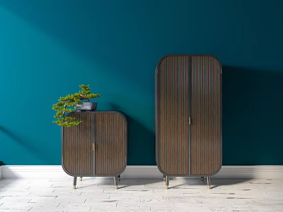 Wooden Entryway Cabinet and Side Cabinet with Potted Plant on Teal Wall Background 3d model