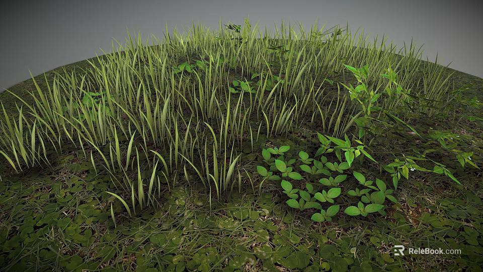 Lush Natural Terrain Covered With Green Grass Small Plants And Thick Vegetation 3d model 