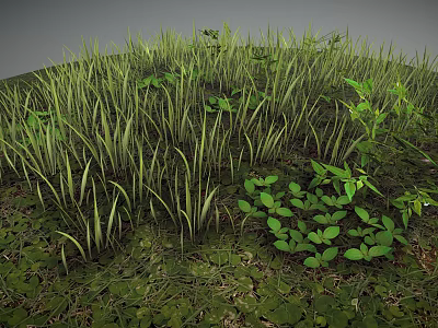 Lush Natural Terrain Covered With Green Grass Small Plants And Thick Vegetation 3d model