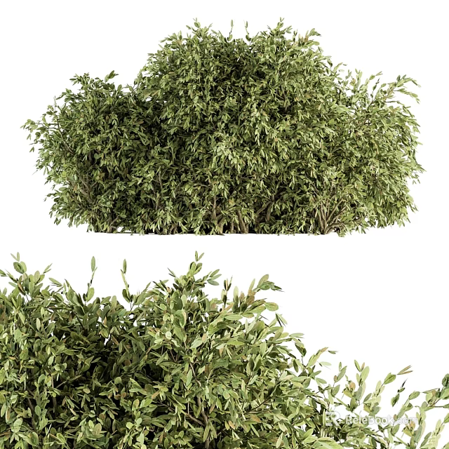 Decorative Garden Ornaments With Lush Green Shrubs For Outdoor Landscape Decoration 3d model 