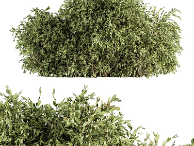 Decorative Garden Ornaments With Lush Green Shrubs For Outdoor Landscape Decoration 3d model