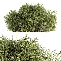 Decorative Garden Ornaments With Lush Green Shrubs For Outdoor Landscape Decoration