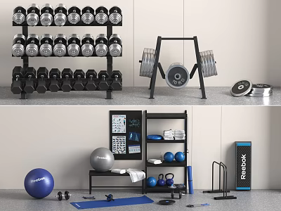 Fitness Equipment Collection Including Dumbbells Weight Plates Exercise Balls Kettlebells Yoga Mat And Resistance Band 3d model