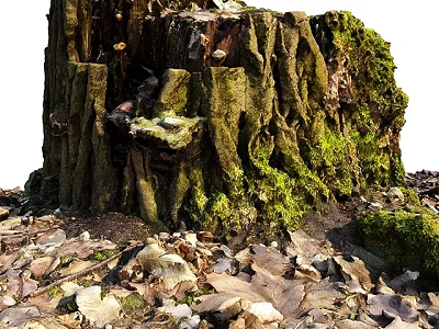 Garden Ornament Old Tree Stump Covered with Green Moss Surrounded by Fallen Leaves and Stones 3d model