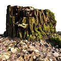 Garden Ornament Old Tree Stump Covered with Green Moss Surrounded by Fallen Leaves and Stones