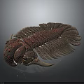 Intricate Purple Pink Trilobite With Decorative Carapace Gemstone Accents And Fins