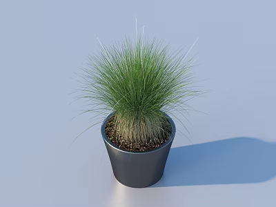 flowerpot potted plant green plant 3d model