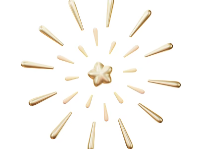 Gold and Pink Decorative Ornament Set with Star Center and Radiating Sticks 3d model