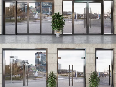 Modern Glass Entrance Doors With Metal Frames And Urban View 3d model