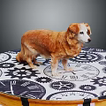 Brown Dog Standing On Circular Platform With Clock And Gear Patterns 3d model